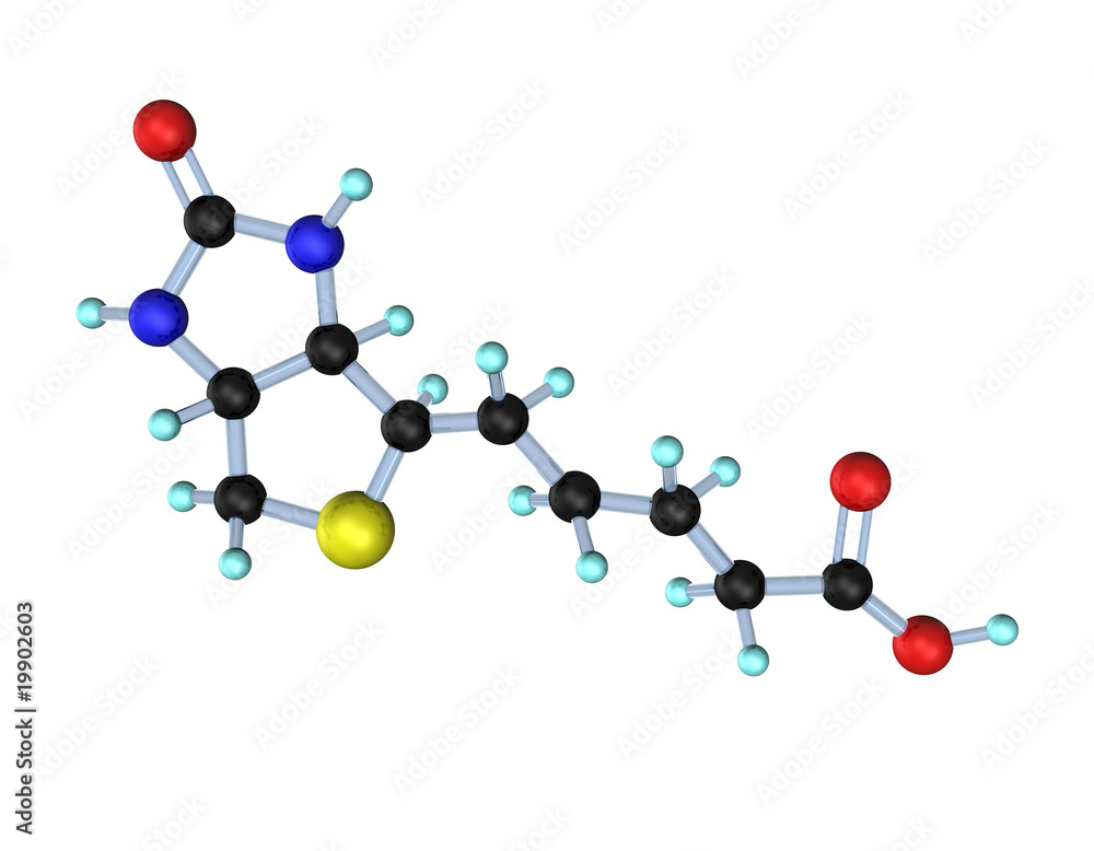 Molecule Vitamin B7 (Biotin) Molecule Vitamin B7 (Biotin)