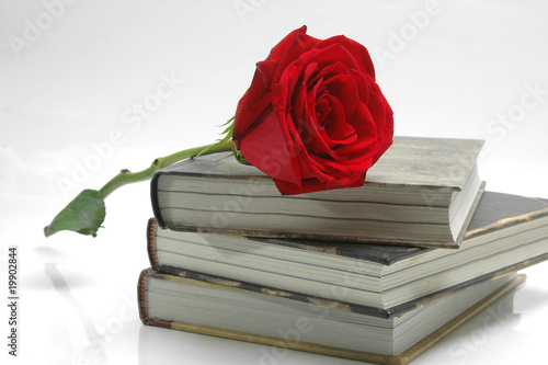 Books and rose