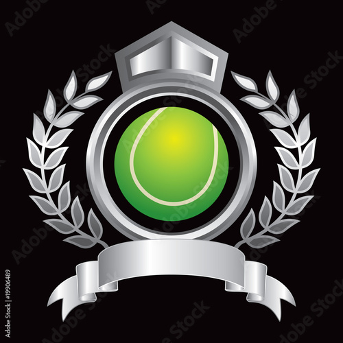 tennis ball silver royal display