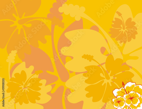 hawaii background