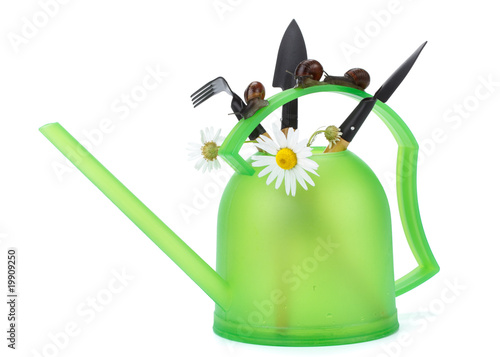 Garden snail and watering can photo