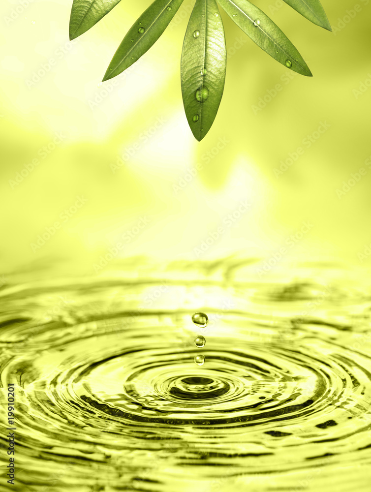 Regentropfen fallen ins Wasser Regentropfen fallen ins Wasser