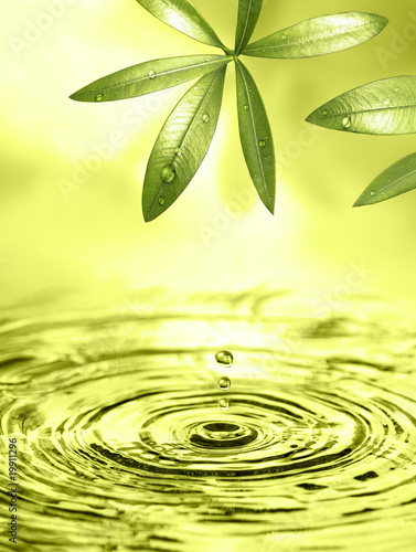 Ökologisch sauberes Wasser