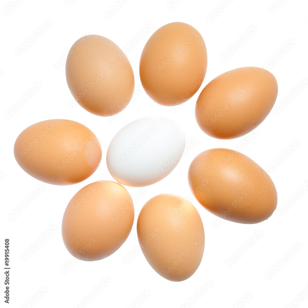 Group of brown and one white eggs isolated on white background Group of brown and one white eggs isolated on white background