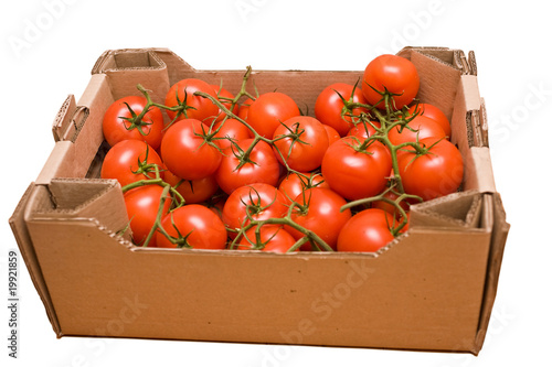 Tomatoes in box