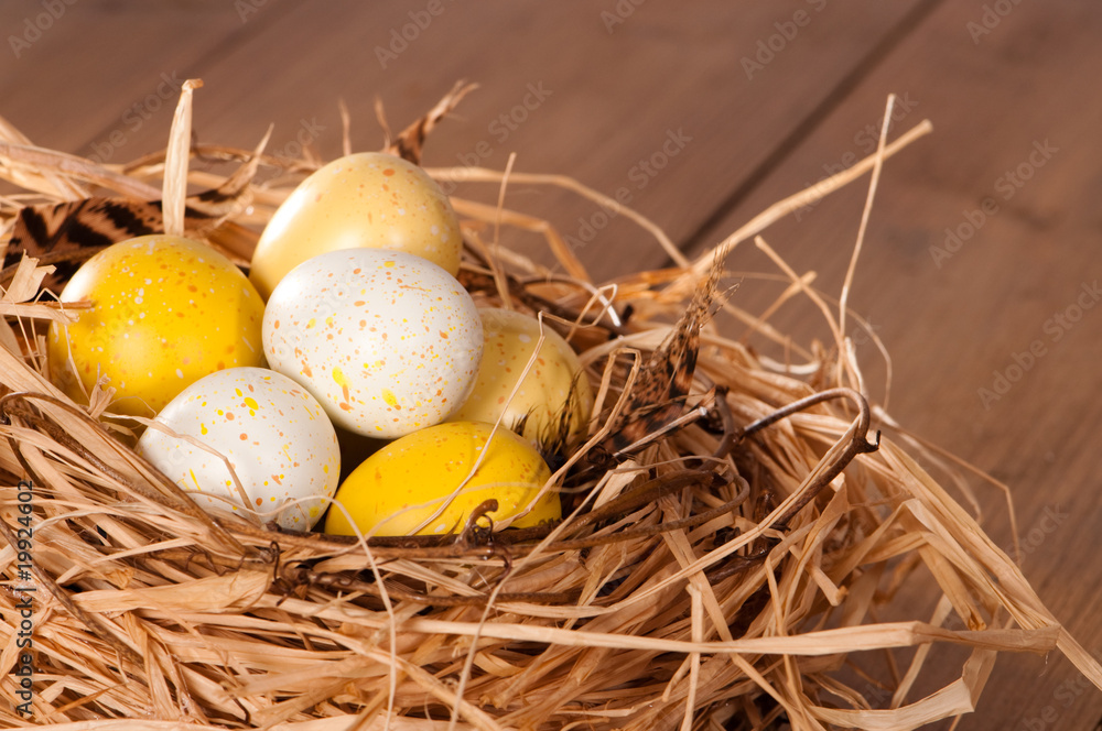 Obraz premium Easter Eggs