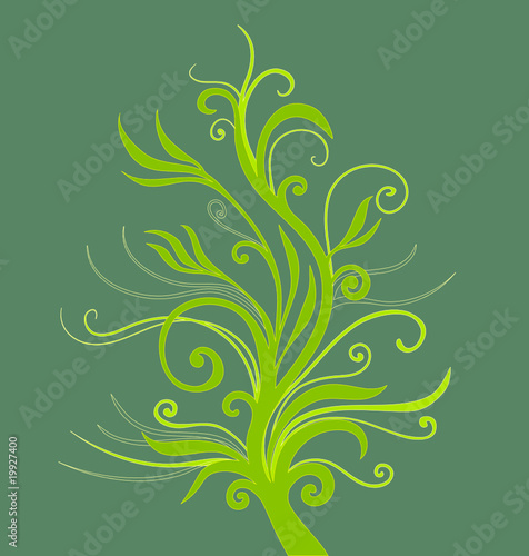 young plant ornament green