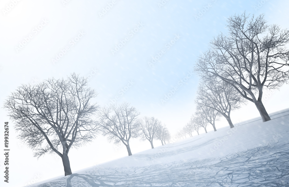 Winter landscape Winter landscape
