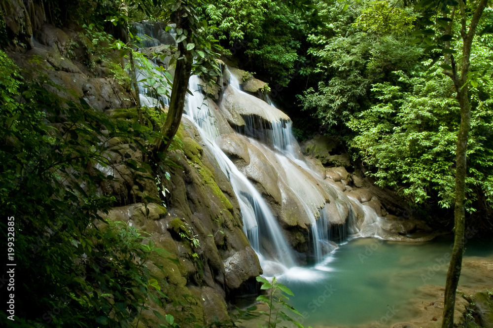 Obraz premium Wasserfall im Regenwald