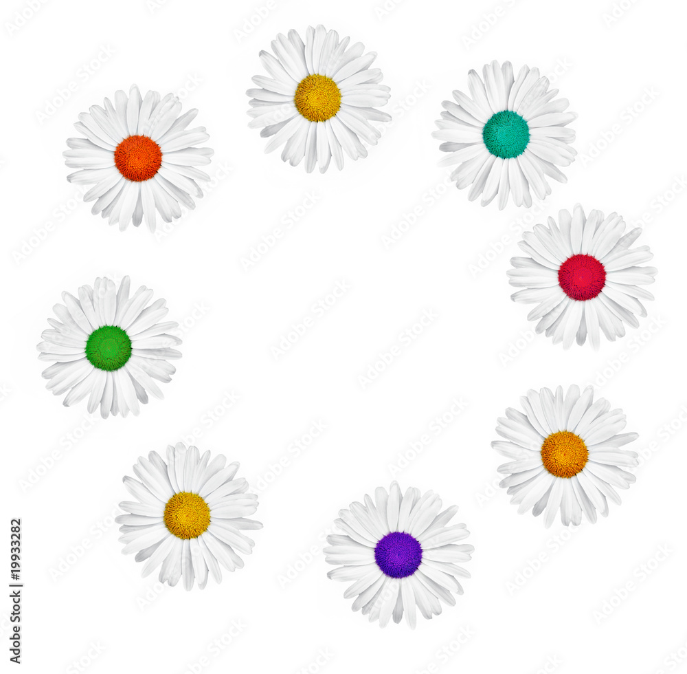 blüten blüten