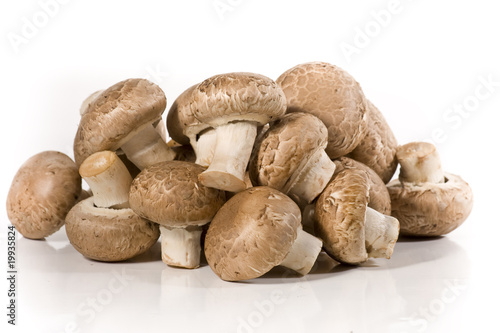 Champignons wd450