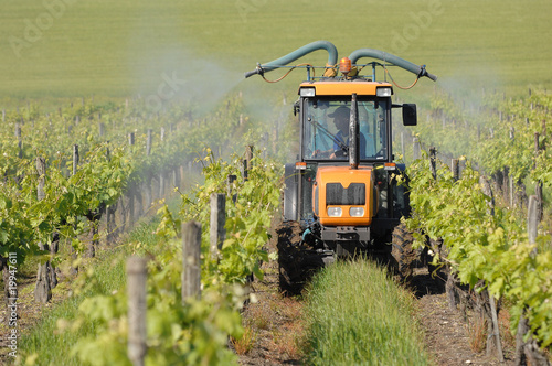 traitement de la vigne
