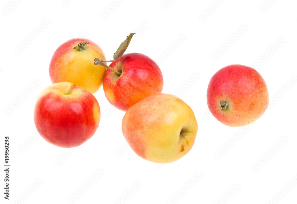 Fresh natural apples isolated on white Fresh natural apples isolated on white