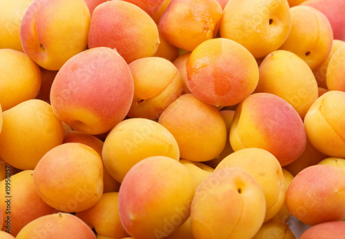 Fresh natural apricot to background