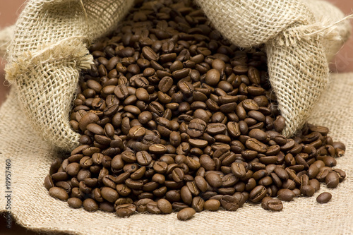 coffee beans in burlap sack © Mira Drozdowski