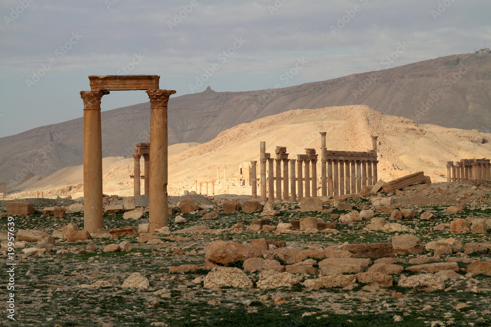 Fototapeta premium Columns of Palmyra