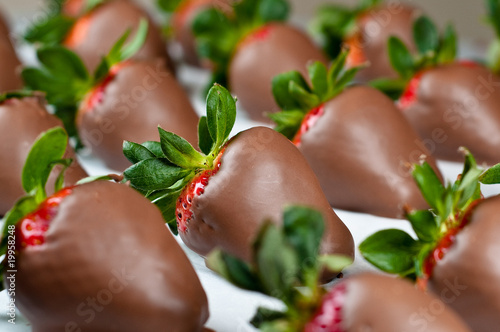 Chocolate Covered Strawberries in Rows
