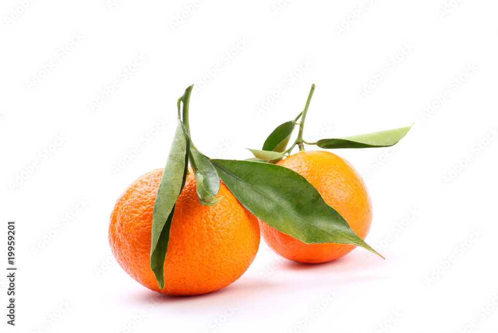 Mandarinen Mandarinen