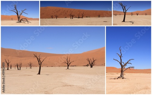 Désert du Namib (Dead Vlei) photo