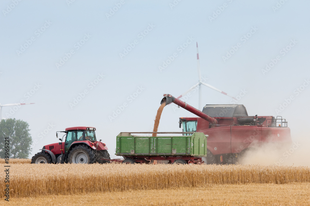 Obraz premium Grain harvest being brought in