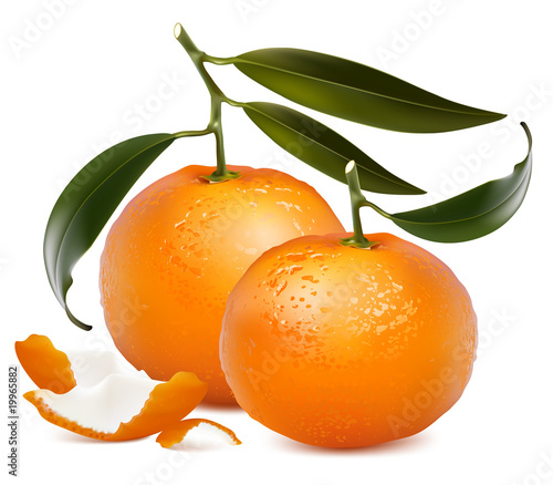 Fresh tangerine fruits with green leaves