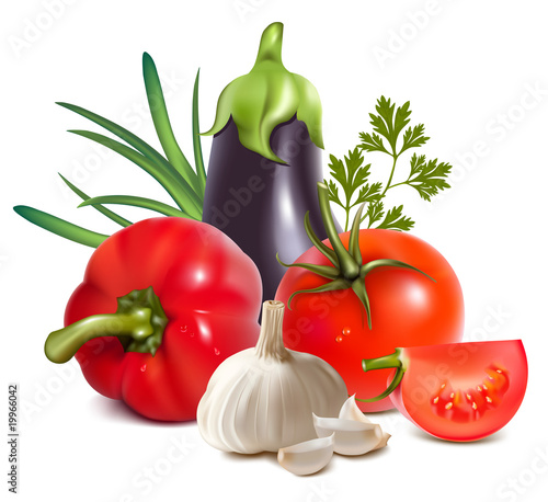 Photorealistic vector. Colorful fresh group of vegetables.
