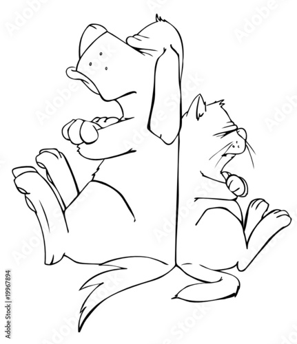 Hund, Katze, Streit, Feinde, verfeindet, streiten