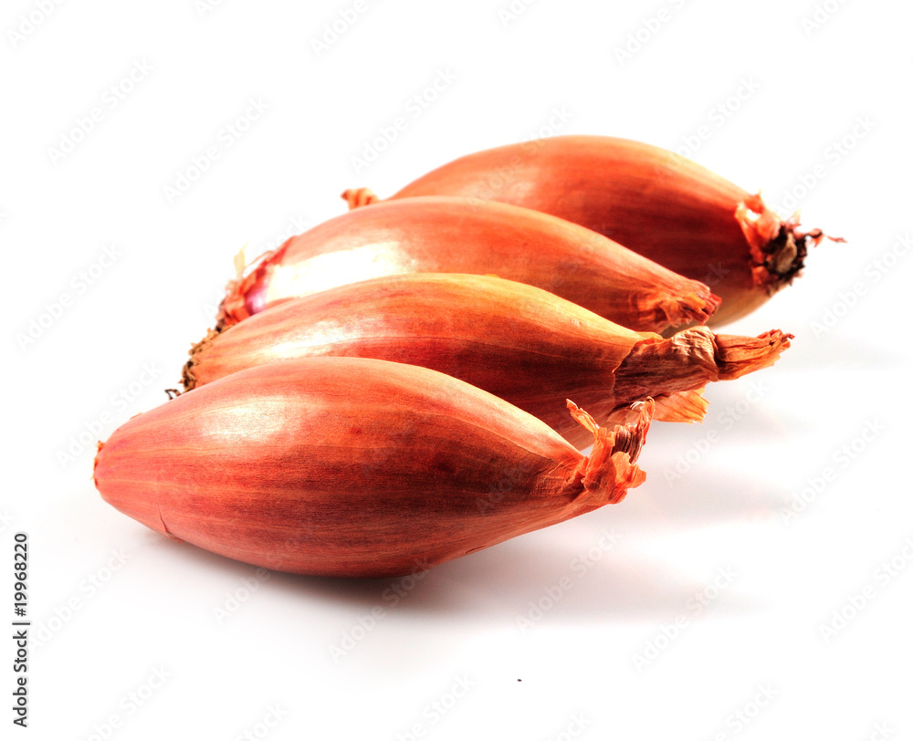 oignons Stock Photo Adobe Stock