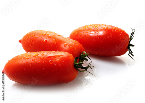 tomate san marzano photo