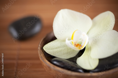 Composition zen - fleur orchidée et pierres