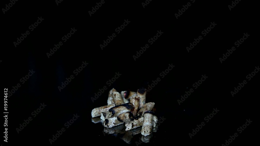Pellet Pellet