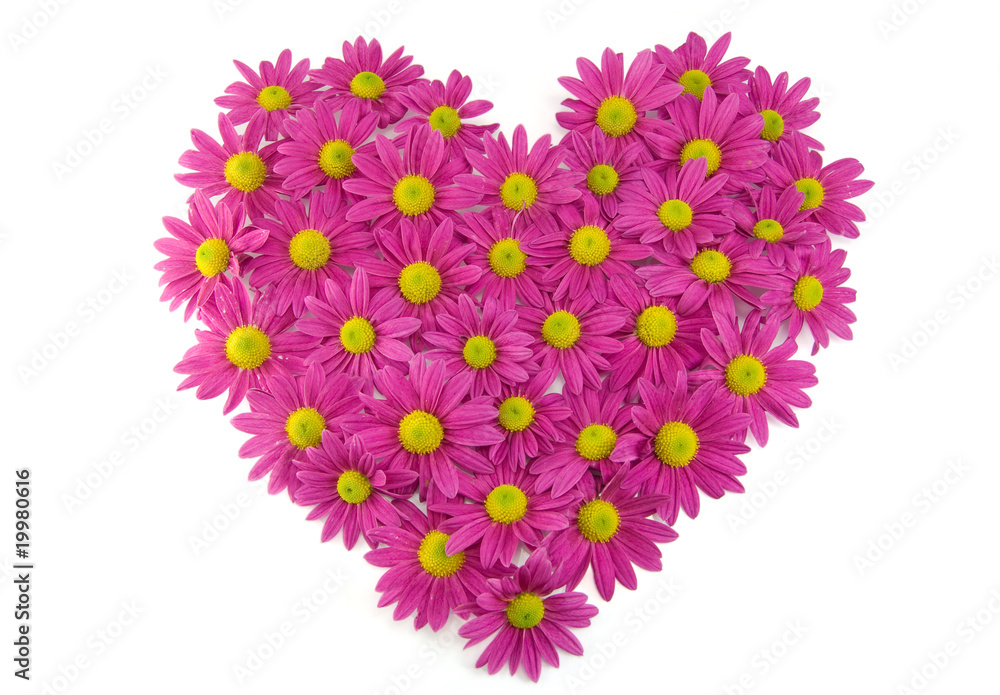 pink flowers in a shape of a heart