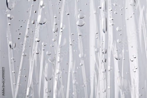 Fotografi Water drops on cellophane as a background