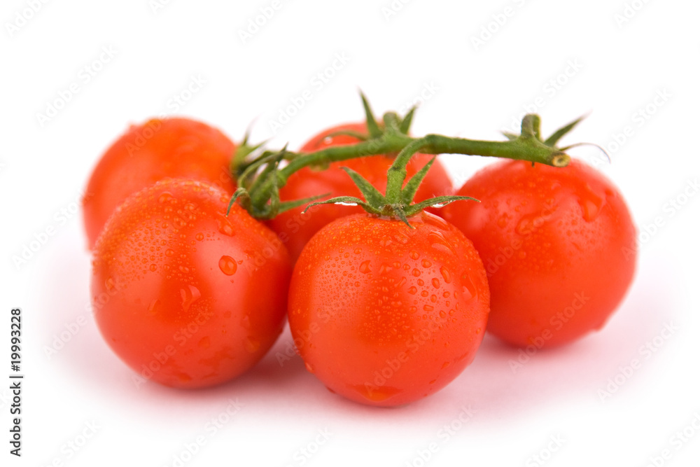 Tomaten isoliert auf weißem Hintergrund Tomaten isoliert auf weißem Hintergrund