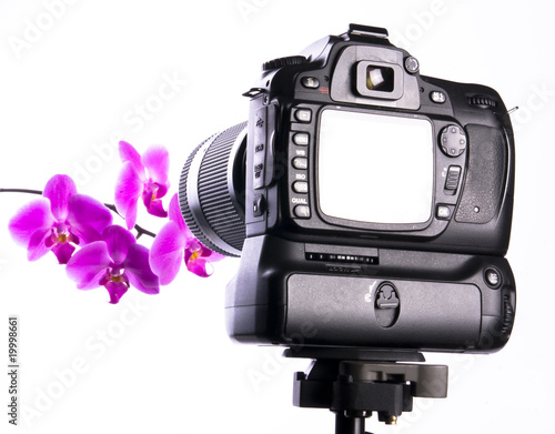 Photographing orchid in photo studio