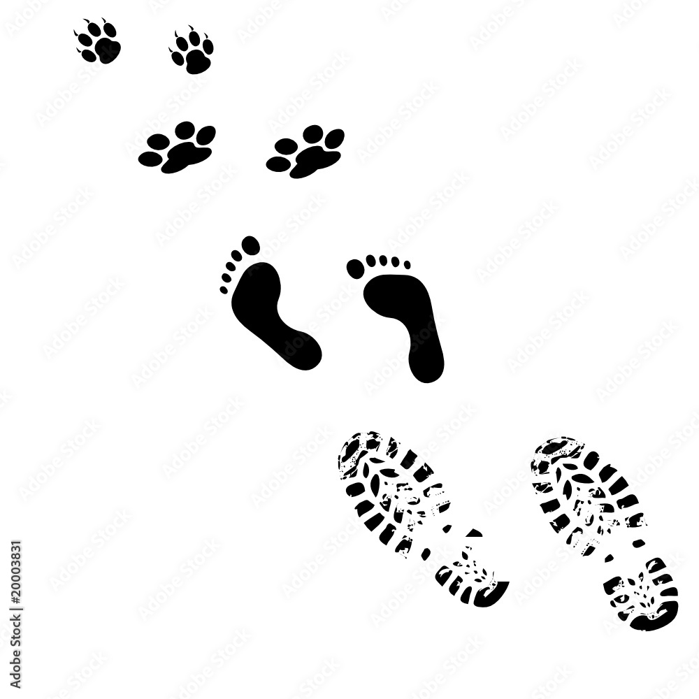 from man to animals illustration from man to animals illustration