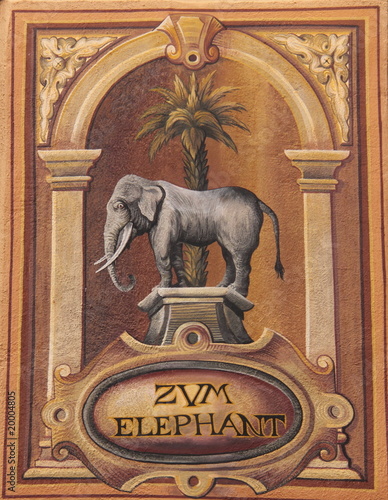 Zum Elephant photo