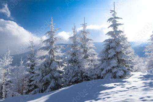 Winter Landscapes © Rafal Kucharek