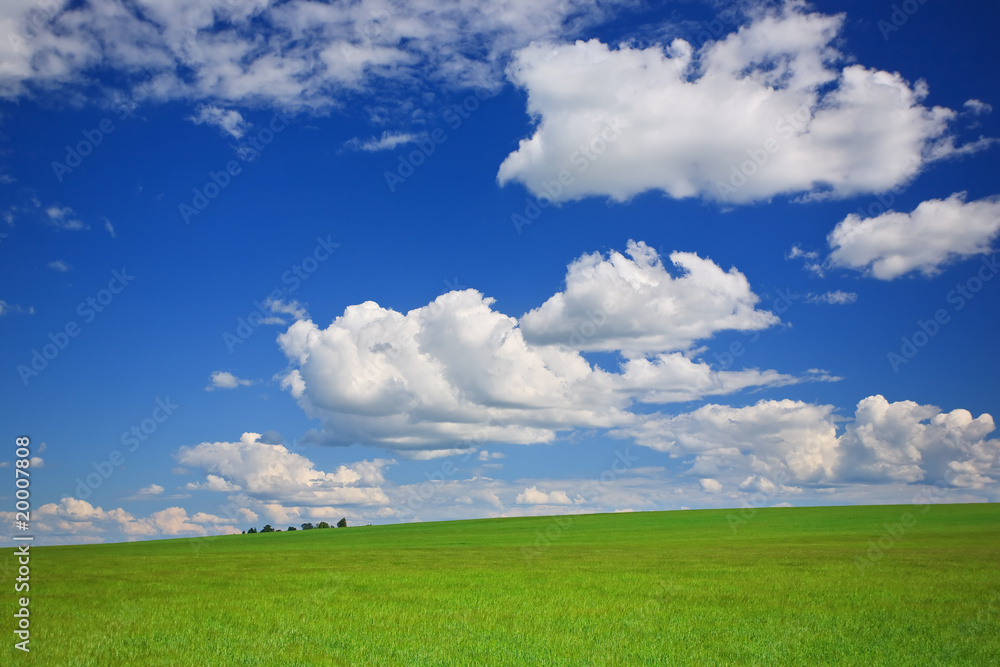 Green grass, the blue sky and white clouds Green grass, the blue sky and white clouds