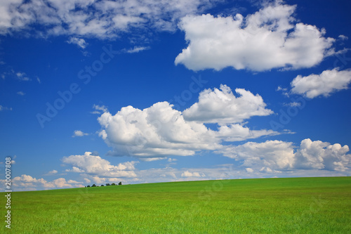 Green grass, the blue sky and white clouds