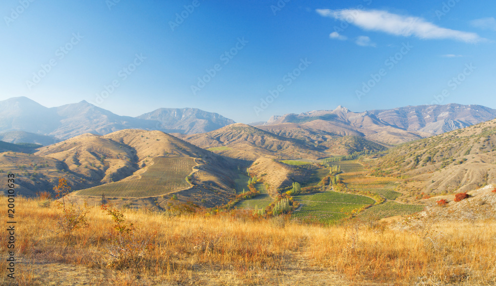autumn mountain landscape. beautiful vineyards