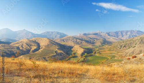 autumn mountain landscape. beautiful vineyards