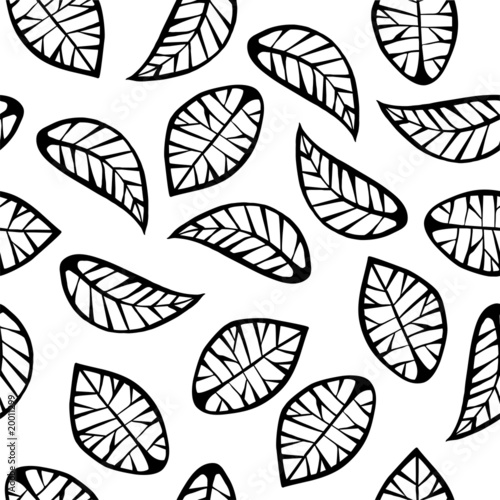 Leaves on white background