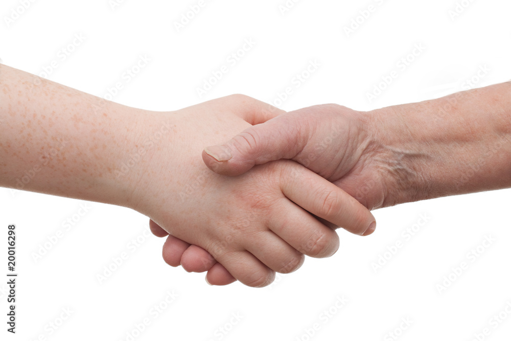 Handshake - between young and old females Handshake - between young and old females