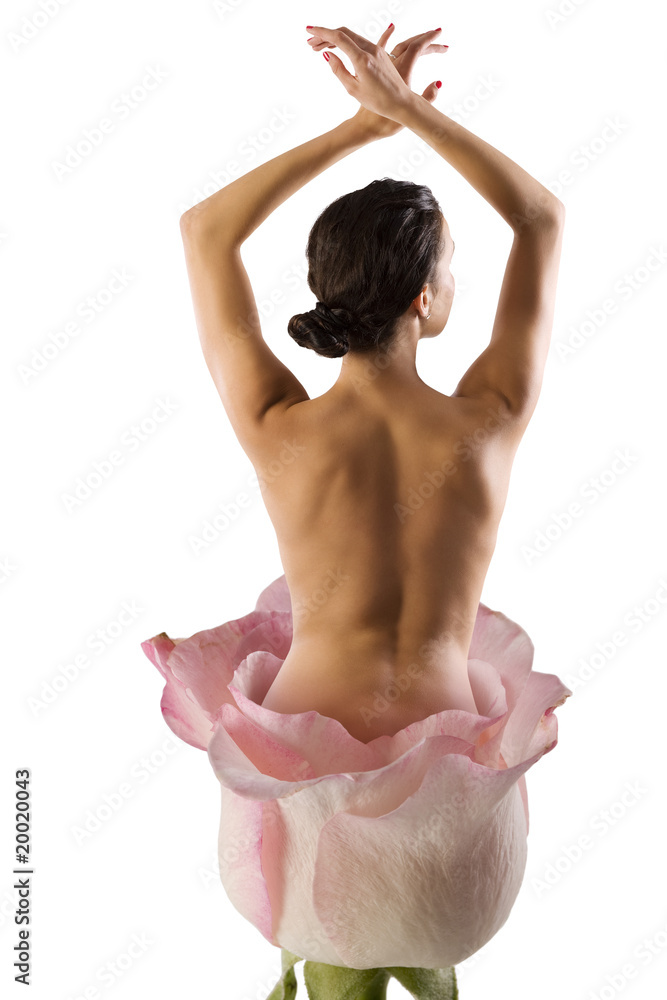 Obraz premium the ballet flower