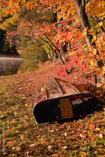 Boat Among Leaves