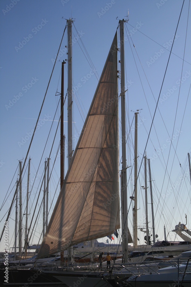 Obraz premium segelyacht