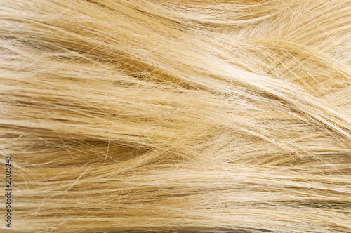 Close-up of blonde hair