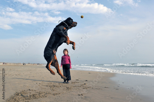 jeu de chien sur la plage photo