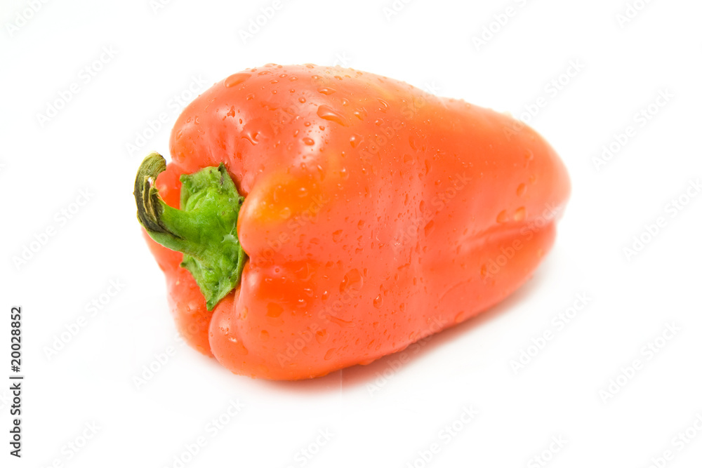 pepper isolated pepper isolated
